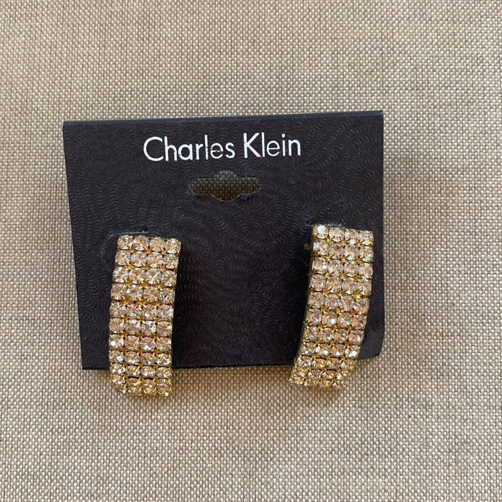 Charles Klein Earrings